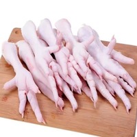 Patas de Pollo Congeladas IQF Frescas, Grado A, Sabor Premium, Excelente Precio, Paquete a Granel, 2 Años de Duración