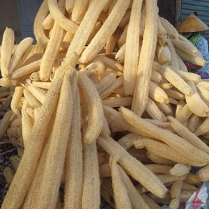 Luffa séchée entière du Vietnam pour pots de plantes décoratifs et artisanat traditionnel fait main, provenant de 99 Gold Data - Product Image 4