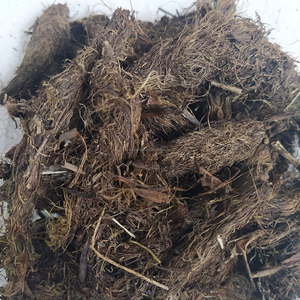 Poudre de racine de Jatamansi CareQue |   Poudre de Spikenard |   Nardostachys Jatamansi |   Herbe ayurvédique brute 99 % pure, séchée au soleil et sous vide - Product Image 5