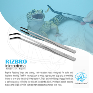 2 Pinzas de Acero Inoxidable para Alimentación de Reptiles, Curvas y Rectas, con Punta Recubierta de PVC, de 9.8 y 11.8 Pulgadas, para Serpientes, Lagartos y Geckos - Product Image 6