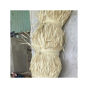 LIVRAISON IMMÉDIATE Feuilles de palmier Corypha Lecomtei du Vietnam, matière première pour la fabrication de paniers et l'emballage décoratif, en vrac - Product Image 4