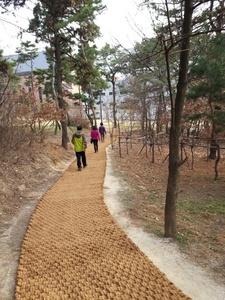 Rouleaux de tapis en fibre de coco de qualité supérieure pour chemins de randonnée, tapis écologique durable en fibre de palmier, fabriqué au Vietnam, personnalisable pour le camping - Product Image 5