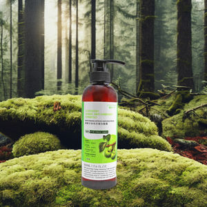 Life Meri Premium Soapberry Shampooing 500ml-Nettoyage en profondeur pour tous les types de cheveux avec réduction douce des flocons - Product Image 1