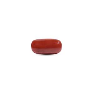 Natural Red Coral Oval Cabochon 11.7 Carat Loose Gemstone for Fine Jewelry - Product Image 1