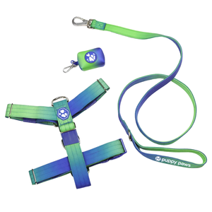 Conjunto de Arnés para Perro Sin Tirones Comfort Control Snow Cone con Correa a Juego y Clip Frontal Ajustable, Set de Entrenamiento para Paseos Diarios - Product Image 4