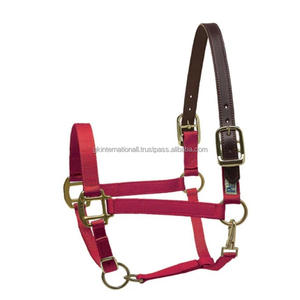 Elegante Collar de Nylon para Caballos, Collar de Cabeza de Nylon para Montar a Caballo, Caminar y Correr en Múltiples Colores y Tamaños Personalizados - Product Image 2