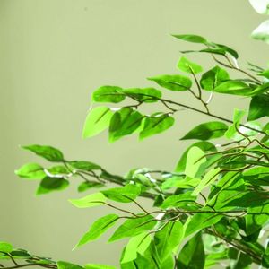Alberi Artificiali e Piante Verdi per Scopi Decorativi - Product Image 4