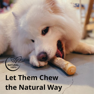 Artículos para Mascotas, Palo de Madera de Café Natural para Masticar, Juguete Ecológico para Perros, Producto Más Vendido - Product Image 2