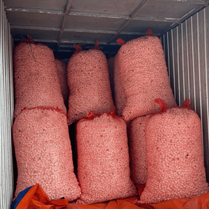 Cocon de ver à soie, matériau naturel pour la production de fil, fournitures d'artisanat et usage décoratif, Vietnam - Product Image 4