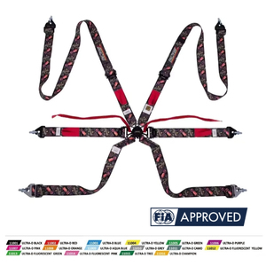Harnais de course automobile 6 points OEM ODM personnalisé 2" FIA 8853-2016 avec bande élastique brevetée de Taïwan et boucle à dégagement rapide à came - Product Image 2
