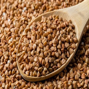Offre Spéciale Prix Fabricant Grains de Sarrasin Décortiqués de Qualité Supérieure Vente en Gros Grains de Sarrasin Bruts Sans OGM - Product Image 1