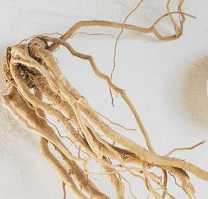 Complément alimentaire à base de racine d'Ashwagandha pure, conçu pour favoriser la réduction du stress, l'équilibre énergétique, la santé immunitaire et le bien-être général - Product Image 5