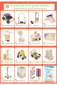 Jeux secret en bois 3d, plus de 100 pièces, kits d'expérimentation scientifique pour enfants, puzzle à tige en bois, vente en gros - Product Image 6