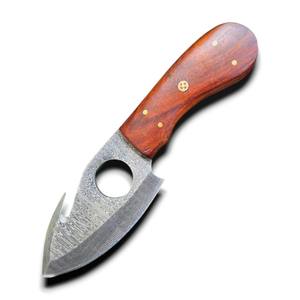 Cuchillo Skinner EDC de Acero de Damasco con Mango de Palisandro, Hoja de 8 Pulgadas con Punta Caída, Orificio para el Dedo, Uso Multiusos en Exteriores, DIY, OEM, Bajo MOQ - Product Image 1