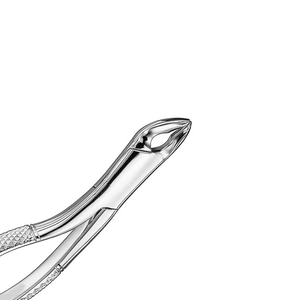 Pinzas de Extracción Manuales de Marca Personalizada, Patrón Americano, Certificación CE, Pinzas Quirúrgicas Dentales con Empuñadura Moleteada - Product Image 3