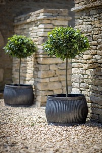 Macetas de Aluminio con Acabado Dorado de la Mejor Calidad, Decoración de Jardín y Hogar de Alta Demanda, Macetas y Jardineras Más Vendidas - Product Image 4