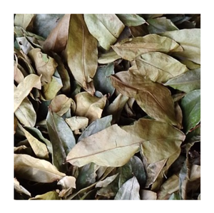 Hojas de guanábana secas de alta calidad, ingrediente natural puro para distribución global, precio directo de fábrica, se aceptan pedidos al por mayor. - Product Image 1