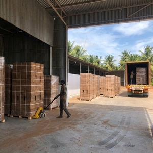Wholesale Coconut <b>Coir</b> Pith Husk Chips Grow Bags Made Plastic 1000mL Capacity Hydroponics Mushroom Grow Disposable Plant Growth - Product Image 5