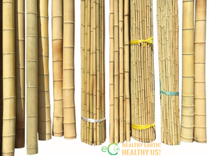 Natural Tonkin Bamboo <b>Stakes</b> Raw Material Agricultural Bamboo Poles and Garden Canes <b>for</b> Climbing Plants - Product Image 1