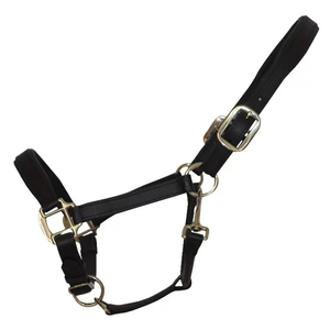 Harnais en cuir pour cheval avec boucles et anneaux métalliques pour usage équestre - Product Image 4