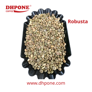 Café Vert ARABICA et ROBUSTA de Haute Qualité à Prix Abordable pour Torréfaction, Processus Entièrement Lavé, Conditionné en Sacs de 60kg/PP - Product Image 1