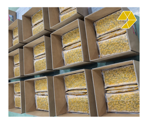 Fruta de la Pasión Congelada en Cubos Sin Semillas, Paquete de 1 kg, Fruta de la Pasión Pura de Vietnam, Fruta de la Pasión Congelada con Semillas para Fábrica de Bebidas OEM - Product Image 1