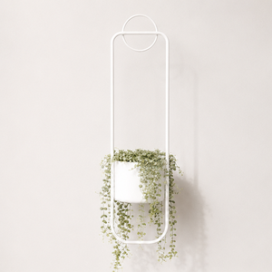 Jardinière murale moderne minimaliste en métal blanc thermolaqué, résistante à la rouille, écologique, pour plantes d'intérieur, style classique - Product Image 1
