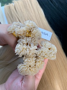 Extensions de Cheveux Naturels de Qualité Luxe 100% Vierge Vietnamiennes Super Double Drawn Pré-Collées avec Brillance Naturelle et Ondulations - Product Image 4