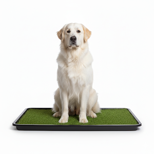 Alfombra de césped Artificial portátil para mascotas, resistente al agua, duradera, cómoda, suave, fácil mantenimiento, perfecta para uso en interiores - Product Image 1