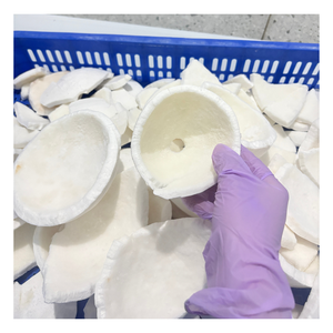 Viande de noix de coco congelée de qualité export, couleur blanche uniforme, saveur fraîche et prix usine compétitif du Vietnam - Product Image 6