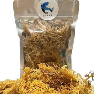 Offre Exceptionnelle : Algues Marines Blanches Séchées, Algues Marines Dorées Brutes, Algues Marines du Vietnam, Emballage Sous Vide, Qualité Export Standard - Product Image 6