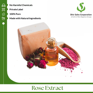 Poudre d'extrait de rose de qualité supérieure pour usage professionnel en soins de la peau, parfumerie et production cosmétique à grande échelle - Product Image 5