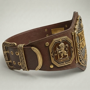 Cinturón de Campeonato de Boxeo, Material Duradero, Apariencia Premium, Acabado Detallado, Ideal para Fines de Reconocimiento y Exhibición - Product Image 2