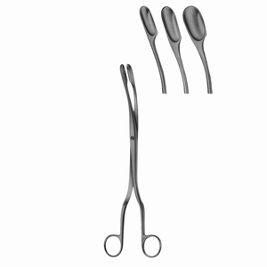คีมผ่าตัดโค้ง Winter Forceps ขนาด 290 มม. - คีมผ่าตัดและถอดแกนกระจกตาทำจากสแตนเลส - Product Image 3