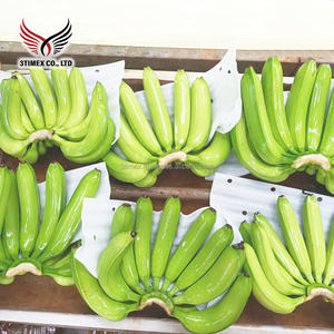 Venta al por mayor de Vietnam 3Timex Company 100% sabor natural dulce Cavendish plátano agricultura fresca 40 días vida útil 4H-5H-6H tamaños - Product Image 2