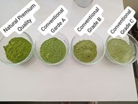 Bubuk Moringa dan Daun Herbal Premium Alami Kualitas Tinggi Pasokan Grosir