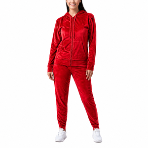 Ensemble sweat à capuche zippé uni et jogging pour femme, en polyester doux, vêtements de sport en gros - Product Image 3