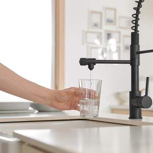 Grifo de Cocina Monomando con Rociador Extraíble en Negro Sin Sensor - Product Image 5