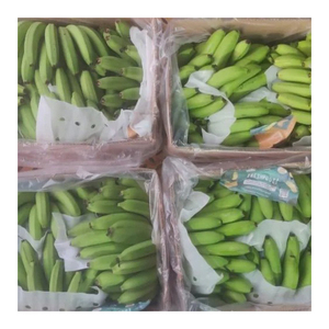 Bananes vertes Cavendish de qualité export, fraîches et naturelles, pour la vente au détail, la vente en gros et le marché international - Product Image 2
