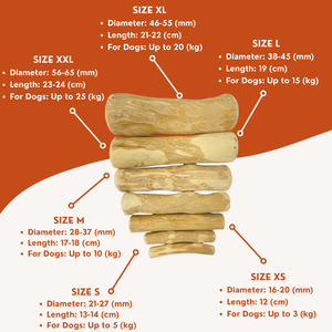 ของเล่นสัตว์เลี้ยงสำหรับสุนัข ทำจากไม้กาแฟ คลาสสิก ทนทาน เป็นมิตรกับสิ่งแวดล้อม ปลอดสารพิษ ช่วยทำความสะอาดฟัน ผลิตในเวียดนาม - Product Image 2