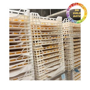 Mango Seco Suave de Primera Calidad de Vietnam para la Fabricación de Snacks y Desarrollo de Marcas OEM - Product Image 6
