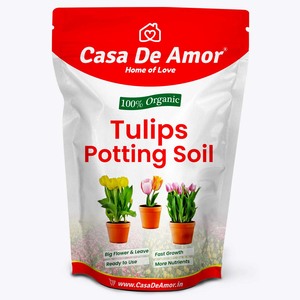 Substrat pour plantes Casa De Amor Tulips, 100% naturel et biologique, prêt à l'emploi - Product Image 1