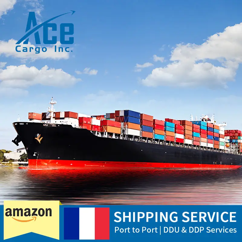 International ddp Sea Freight Shipping Company From China To France Freight Forwarder Shipping Agent