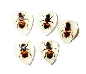 Cabochon en plastique en forme de cœur avec spécimen réel d'abeille, 17x21 mm, fond plat, pour artisanat et fabrication de bijoux - Product Image 1