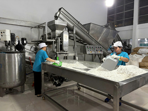 Desiccated <b>Coconut</b> <b>Flakes</b> for Premium Cream Decoration Pastry Topping Natural White Color 25kg Kraft Bag - Product Image 2