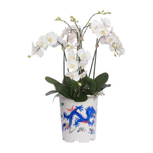 Eco-Friendly Modern Round Plastic <b>Planter</b> Printed Design for <b>Hanging</b> or Floor Use - Product Image 1