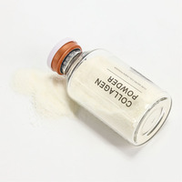 Poudre de Collagène Hydrolysé DR.DRAWING en Vrac 65KG, 100% Pur Naturel, Pigment Végétal pour Microblading, Anti-Âge, OEM/ODM