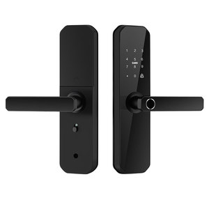 Serrure de porte intelligente OEM Z01 en alliage de zinc, finition PVD Or, Argent, Noir, modes de déverrouillage multiples, 300 000 cycles, serrure intelligente domestique - Product Image 1