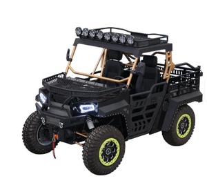 Vehículo Utilitario de 2 Plazas, UTV 4x4, Vehículos de Caza en Venta - Product Image 2