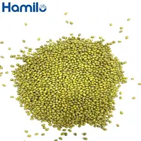 Organic Dried Green Dry Mung Beans, Export